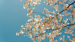 2025年4月におけるNISAの投資信託ランキングをご紹介！