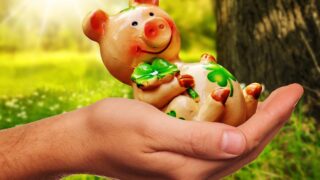 【配当金速報】VTの2025年6月の分配金