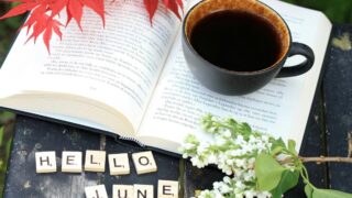 【定点観測】2025年6月のVTの運用状況！