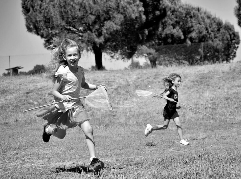 高配当株投資は面白い！