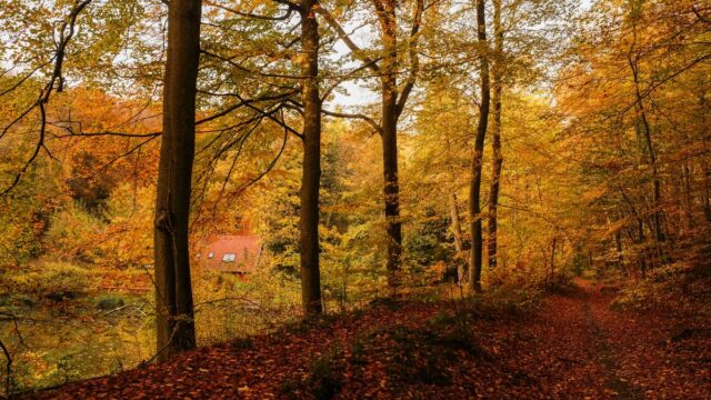 米国ETF週間売買ランキングを考察（2025年11月）