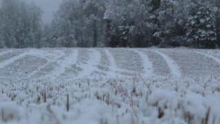 【分配金速報】日経高配当50ETFの2026年1月の分配金