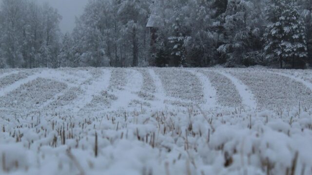 【分配金速報】日経高配当50ETFの2026年1月の分配金