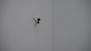 【定点観測】2026年2月のVTの運用状況！