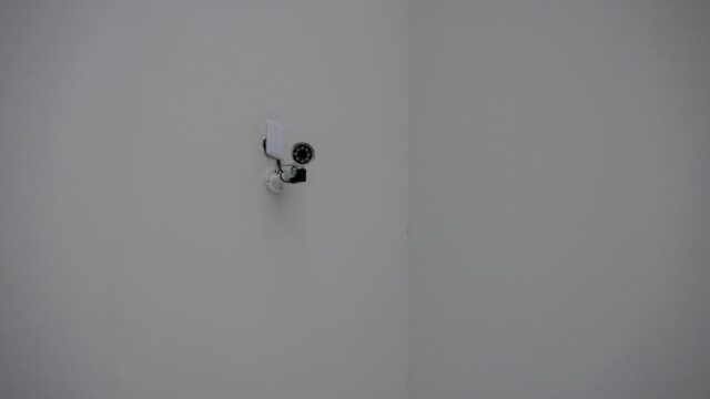 【定点観測】2026年2月のVTの運用状況！