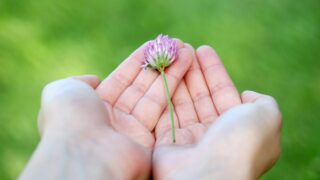 【2026年3月】1655から分配金を受け取りました！