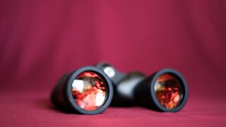 【定点観測】2026年5月のVTの運用状況！