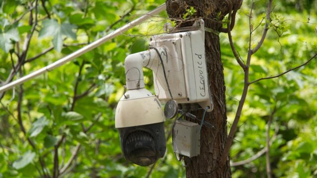 【定点観測】2026年4月のVTの運用状況！
