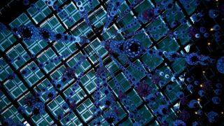 米国ETF週間売買ランキングを考察（2026年5月）